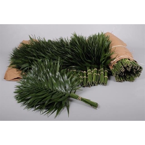 ŽAL CHICO ROLL 40CM