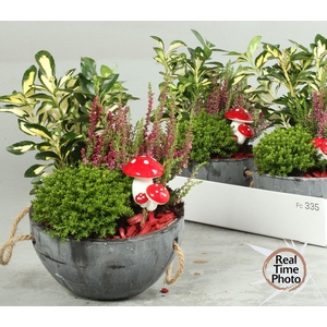 ARR TUINPLANTEN