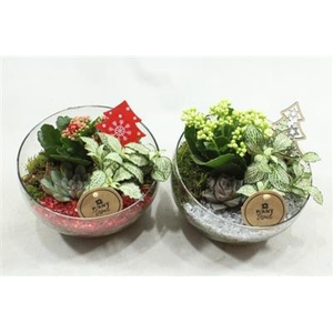 8792 HALF GLAS ROOD/ZILVER