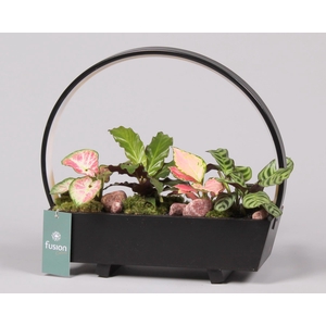 Lamp LED boog hout met Trendy groene planten