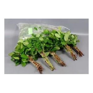 Salal Tips (5 bos per zak)