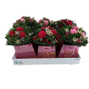 Droogbloemen bewerkt H%
