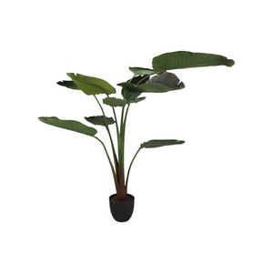 Silk Strelitzia Green 185cm Nm