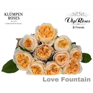 R GR LOVE FOUNTAIN