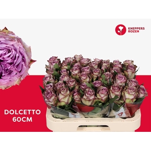 R Gr Dolcetto Extra Kneppers