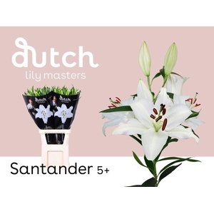 LI. OR SANTANDER/ 5+