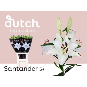 LI. OR SANTANDER/ 5+