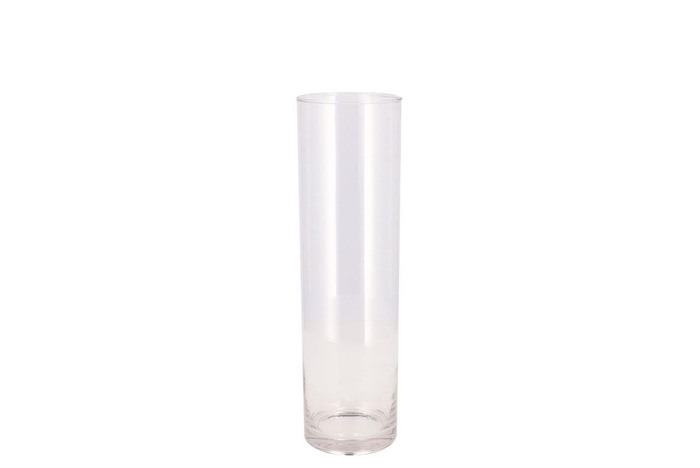 <h4>Glass Cilinder Silo 9x30cm</h4>