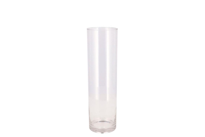 <h4>Glass Cilinder Silo 9x30cm</h4>