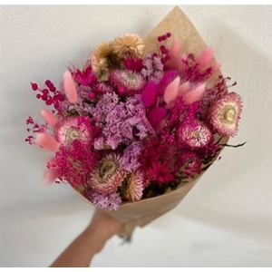 >> DRIED BQ NEON HOT PINK