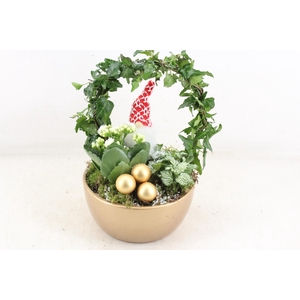 arr2 JS - Gold bowl Hedera boog x4