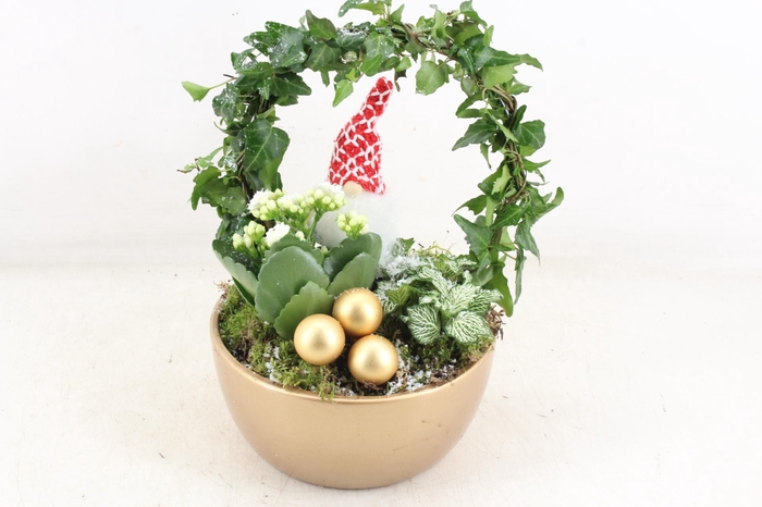 <h4>arr2 JS - Gold bowl Hedera boog x4</h4>