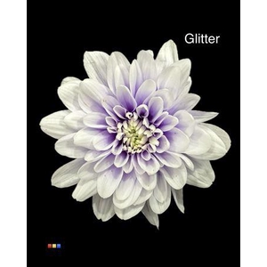 Chr T 2 Kl Baltica Pastel Milka + Glit Bio