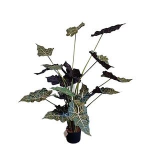 Alocasia Pot PP550036GRN
