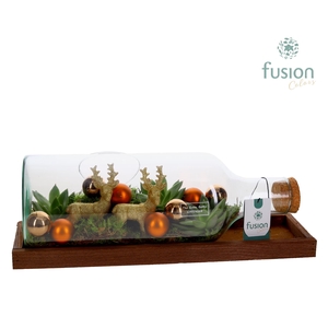 Arrangement Green Bottle Medium lying Christmas FC-24.1744FDH