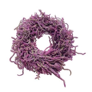 Wr Snake Limonium Naturel 40cm