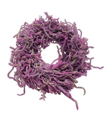 <h4>Wr Snake Limonium 40cm</h4>