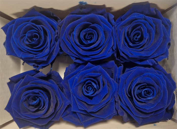 Ro Pres Classic Blue