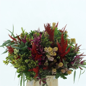 Bouquet De Provence Extra