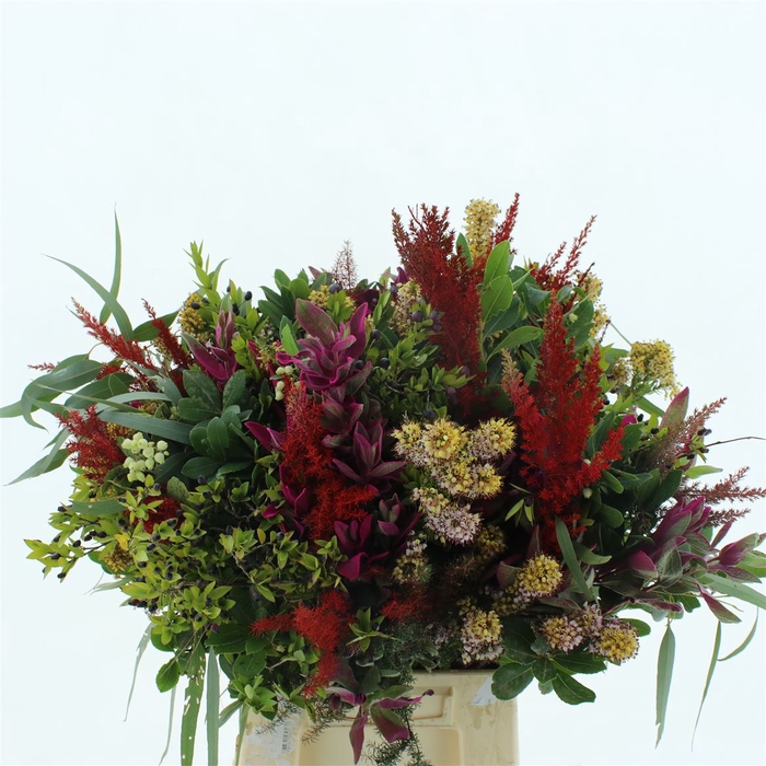 <h4>Bouquet De Provence Extra</h4>