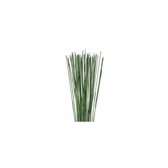 <h4>Mash reed l.green stabi</h4>