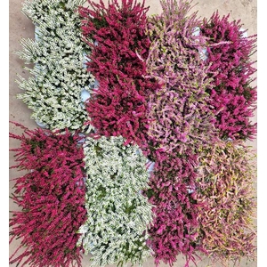 CALLU NOVA MIXSHELVE