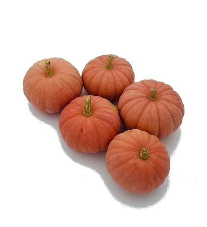 <h4>Sier Cuc P Miss Sophie Pink X20</h4>