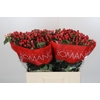 Hypericum True Romance