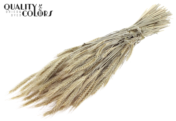 <h4>Triticale per bunch Natural</h4>