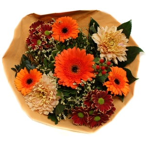 2025004 Oranje