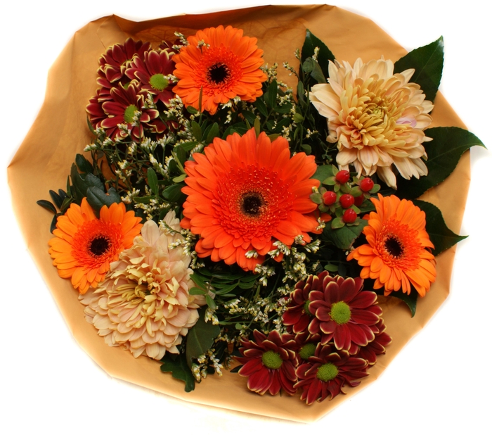 <h4>2025004 Oranje</h4>