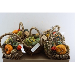 Arr Basket Fruit