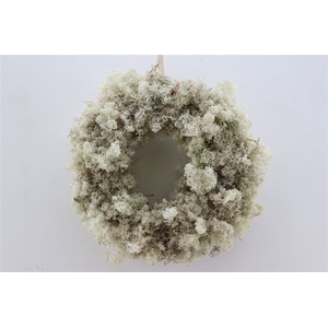 Wr Reindeer Moss 35cm Fresh