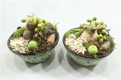 <h4>AM116 KER PINDA AMAR</h4>