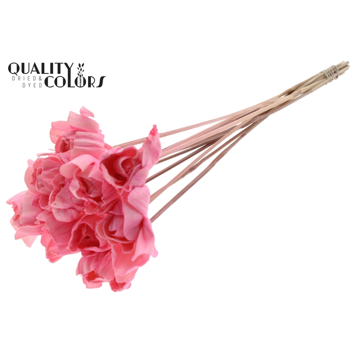 <h4>Shola Dear Holly 6cm on stem Light Pink</h4>