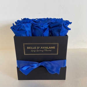 Box vk 15cm zwart-blauw