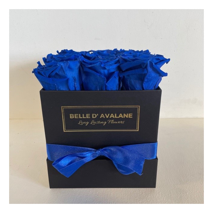 <h4>Box vk 15cm zwart-blauw</h4>