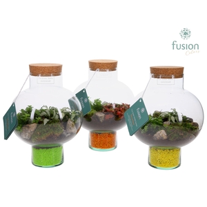 Green BottleLaura Small met Terrarium arrangement