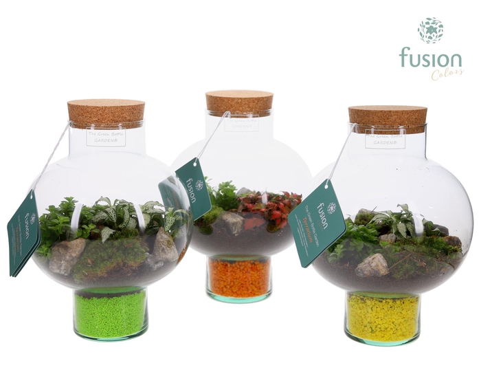 <h4>Green BottleLaura Small met Terrarium arrangement</h4>