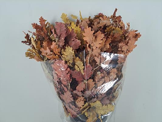 <h4>Pf Oak Leafs Bs 150g</h4>