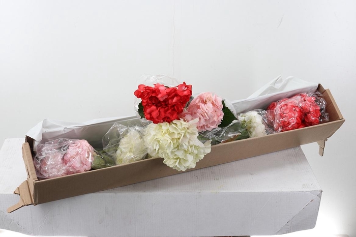 <h4>Hydr x10 Love Mix Box</h4>