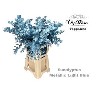 EUCA CINEREA METALLIC LIGHT BLUE 300GR