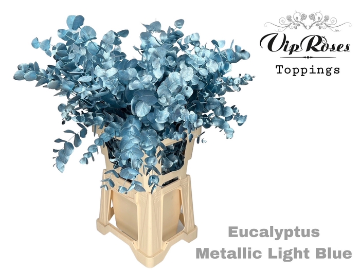 EUCA CINEREA METALLIC LIGHT BLUE 300GR