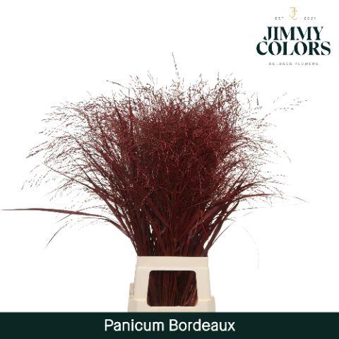 <h4>Siergras L90 Klbh. Bordeaux</h4>