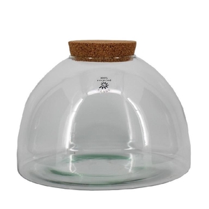 Glass Terrarium Eco cork d13/30*22cm