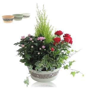 Collectie Florentina Arrangement in Schaal 25 cm