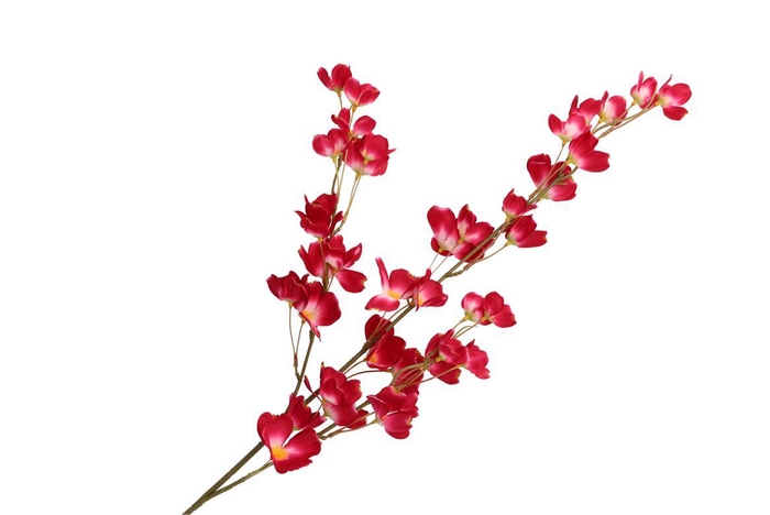 <h4>Silk Wolfberry Dark Pink 106cm Nm</h4>