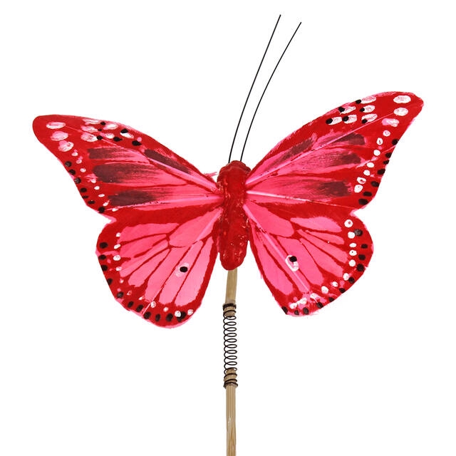 <h4>Pick Papillon 6x11cm + 50cm stick red</h4>