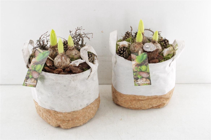 <h4>Arr4 Hyacint Mb246 - Cork Bag</h4>