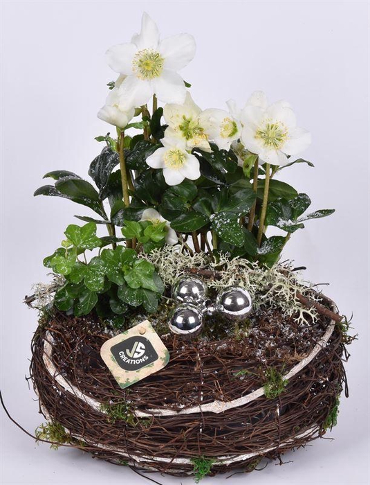 <h4>Natuur krans 26cm</h4>